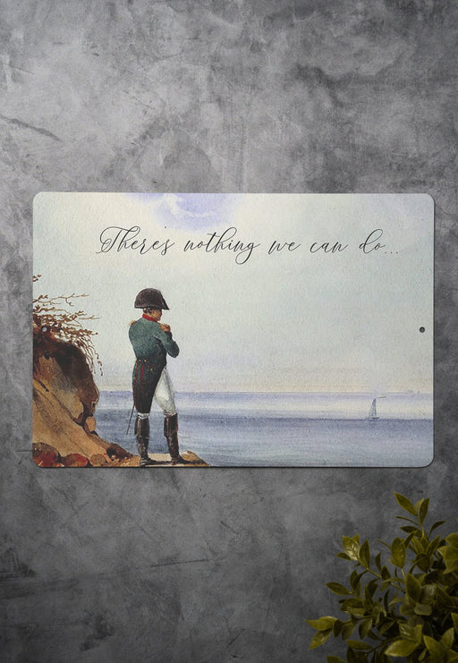 There's nothing we can do - Metal Sign - funny gifts, gifts for friends, funny wall art, napolean, tiktok meme