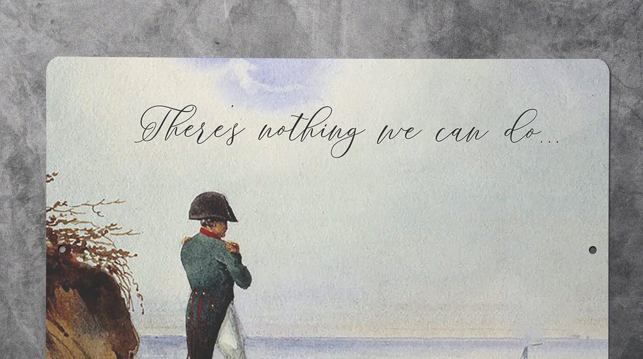 There's nothing we can do - Metal Sign - funny gifts, gifts for friends, funny wall art, napolean, tiktok meme