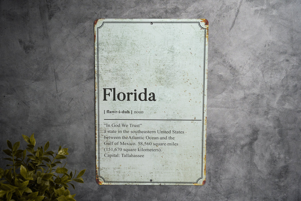 Florida State Definition - Metal Sign - Wall Decor