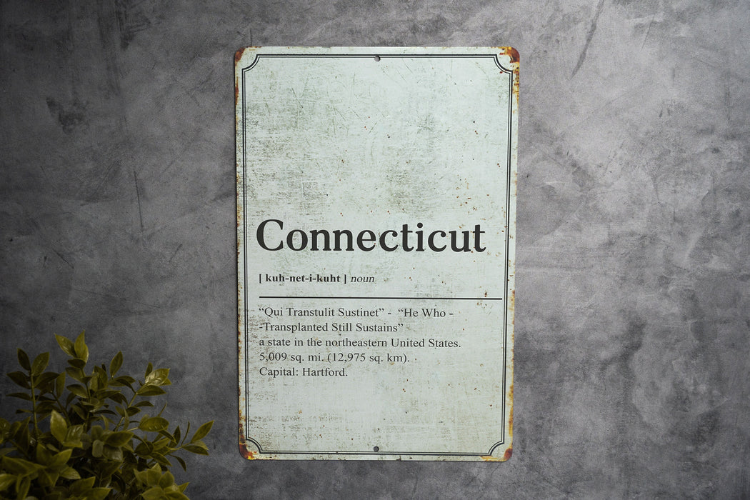 Connecticut State Definition - Metal Sign - Wall Decor