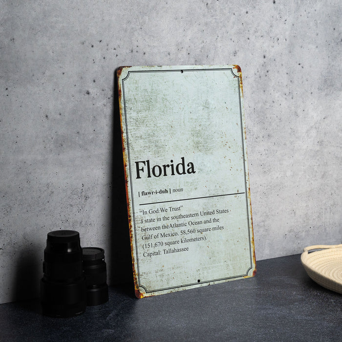 Florida State Definition - Metal Sign - Wall Decor