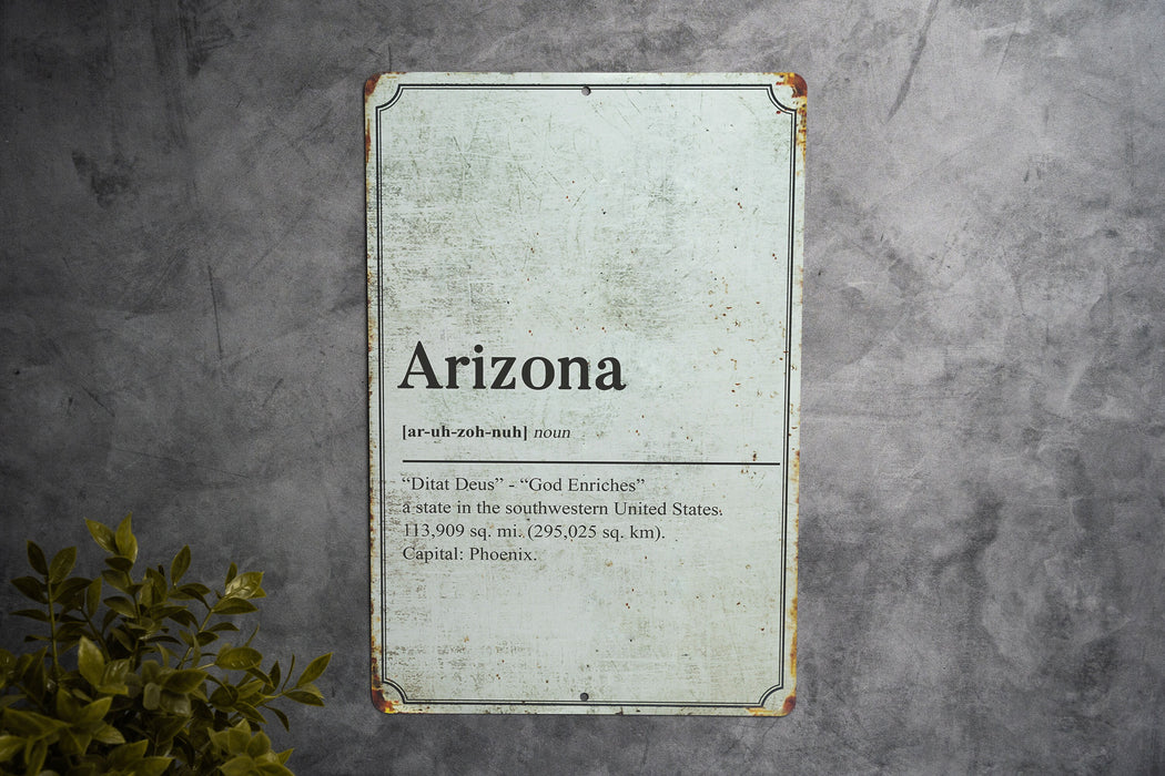 Arizona State Definition - Metal Sign - State Decor - Arizona State Pride
