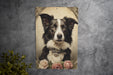 Victorian Portrait of Border Collie Metal Sign - Classic Dog Art, Pet Lover Gift, Vintage Decor, Canine Elegance, Heritage Breed Sign