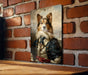 Victorian Shetland Sheepdog Metal Sign - Regal Herder, Noble Companion, Aristocratic Collie, Period Elegance, Classic Sheepdog Decor