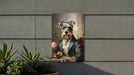 Victorian Miniature Schnauzer Painting Metal Sign - Aristocratic Schnauzer, Noble Companion, Period Attire, Schnauzer Decor, Regal Portrait