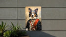 Fancy Victorian Border Collie Metal Sign - Elegant Portrait, Regal Canine, Aristocratic Pet, Period Dress, Classic Decor