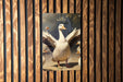 Silly Goose Metal Sign, Playful Goose Decor, Quirky Bird Art, Funny Animal Sign, Whimsical Home Decoration