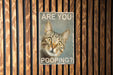 Are You Pooping? Cat Bathroom Metal Signs - Funny Home Decor, Cat Lover Gift, Quirky Bathroom Art, Humorous Wall Sign, Unique Toilet Decor