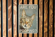 Are You Pooping? Cat Bathroom Metal Signs - Funny Home Decor, Cat Lover Gift, Quirky Bathroom Art, Humorous Wall Sign, Unique Toilet Decor