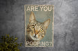 Are You Pooping? Cat Bathroom Metal Signs - Funny Home Decor, Cat Lover Gift, Quirky Bathroom Art, Humorous Wall Sign, Unique Toilet Decor