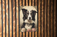 Victorian Portrait of Border Collie Metal Sign - Classic Dog Art, Pet Lover Gift, Vintage Decor, Canine Elegance, Heritage Breed Sign