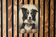 Victorian Portrait of Border Collie Metal Sign - Classic Dog Art, Pet Lover Gift, Vintage Decor, Canine Elegance, Heritage Breed Sign