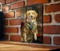 Victorian Golden Retriever Painting Metal Sign - Noble Companion, Regal Retriever, Aristocratic Friend, Period Elegance, Classic Dog Art