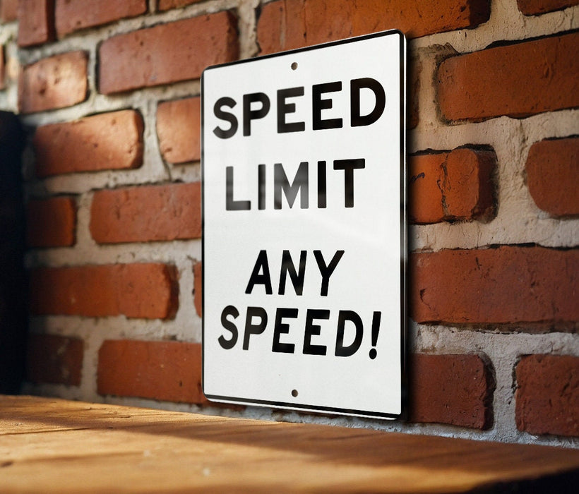 Custom Speed Limit Sign, Outdoor Metal Sign, Custom Speed Sign, Speed Limit 69