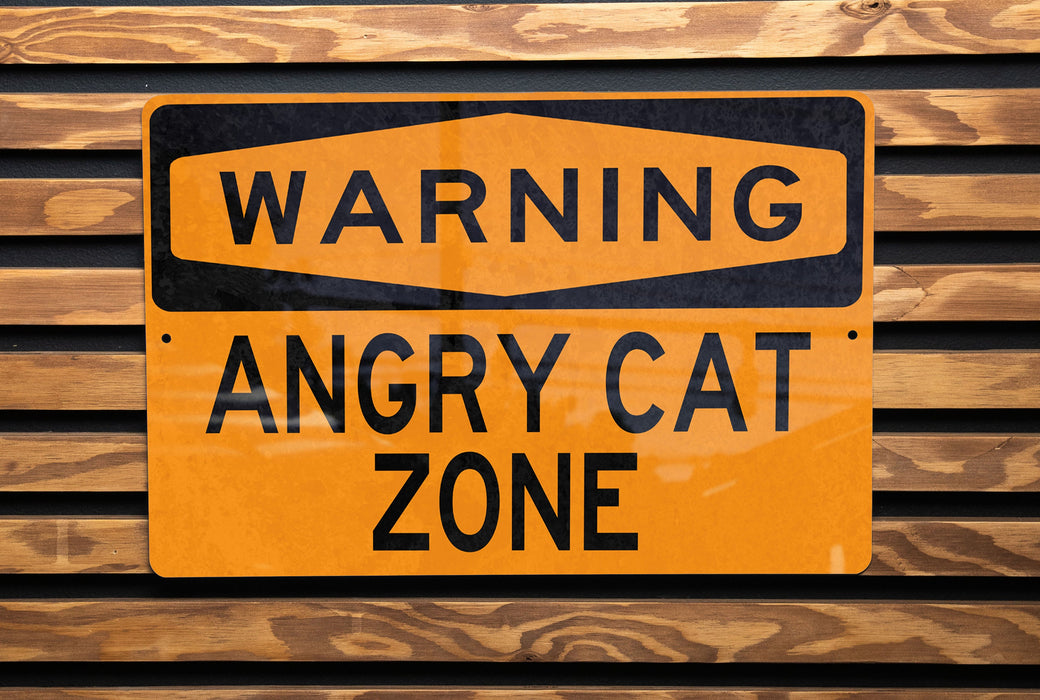 a yellow sign on a wooden wall that says zone