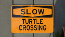 a close up of a street sign on a wall