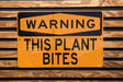 a yellow street sign on a wooden wall