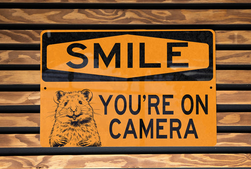 a yellow sign that says smile you're on camera