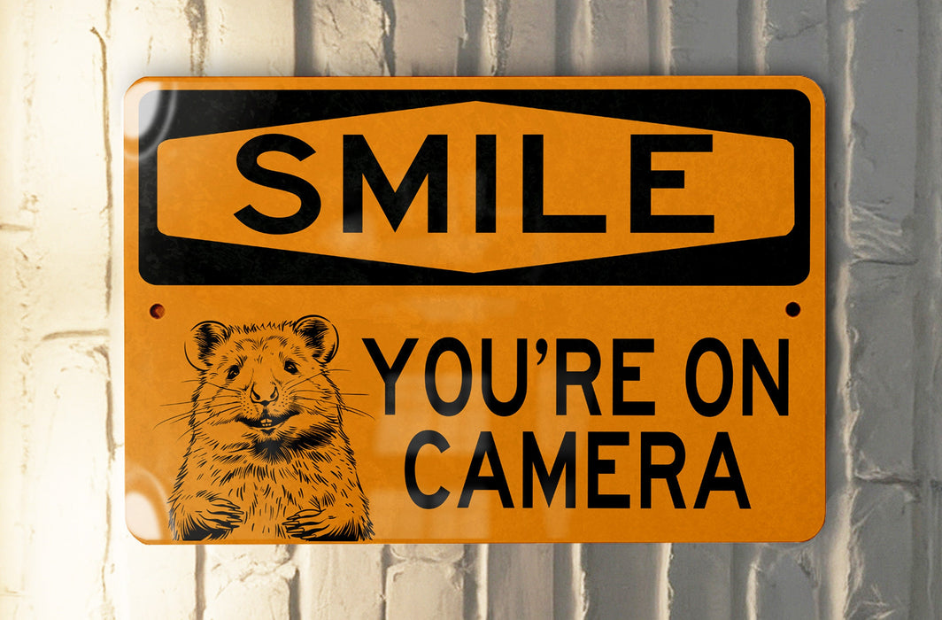 a yellow sign that says smile you're on camera