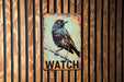 a bird sitting on top of a sign on a wooden wall