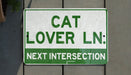 a green and white sign that says cat lover ln next intersection