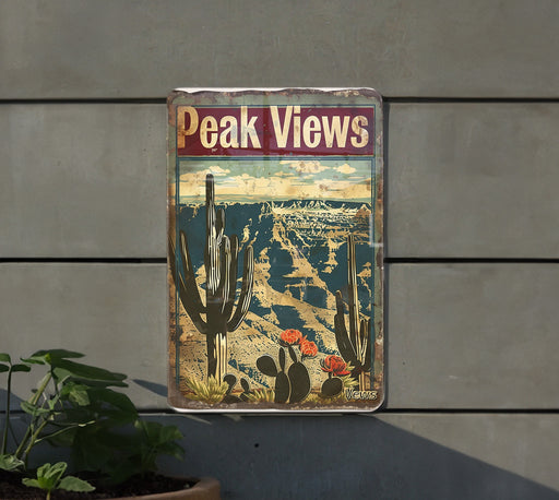 a picture of a cactus on a wall