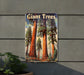 a picture of giant trees on the side of a building