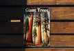 a book about giant trees on a wooden bench
