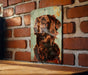 a painting of a dog on a brick wall