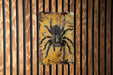 a picture of a spider on a wooden wall