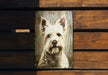 a painting of a white dog on a wooden bench