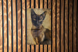 a picture of a cat on a wooden wall