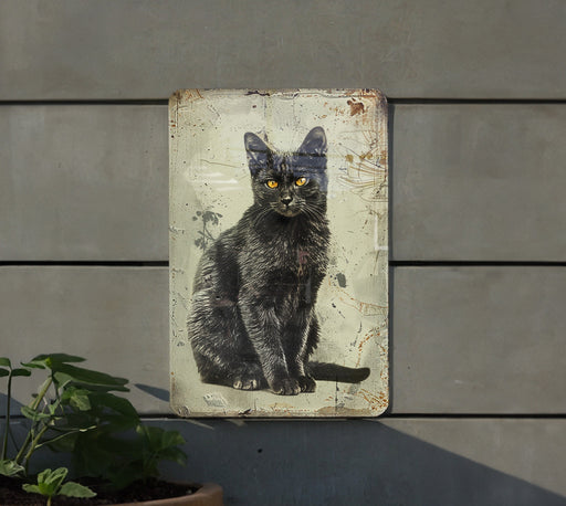 a black cat sitting on top of a sign