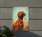 a picture of a dog on a metal sign