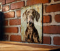 a picture of a dog hanging on a brick wall