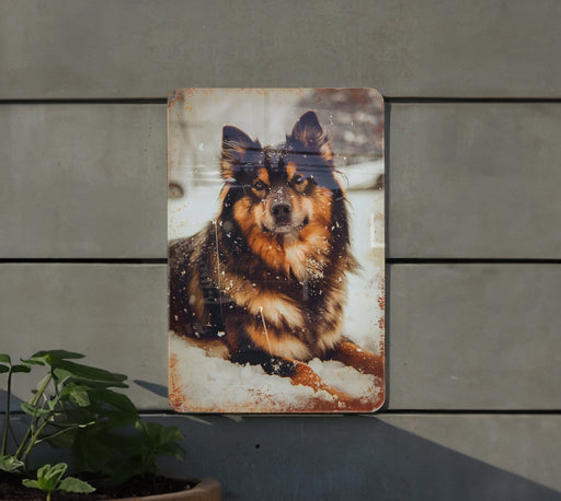 a picture of a dog is hanging on a wall