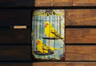 a yellow bird in a cage on a wooden wall
