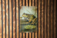 a painting of a frog sitting on a lily pad
