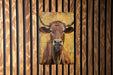 a picture of a cow on a wooden wall