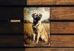 a picture of a dog sitting on a bench