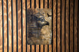a picture of an egyptian mask on a wooden wall