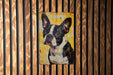 a picture of a black and white dog on a yellow background