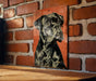 a picture of a dog on a brick wall