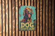 a dog day care sign on a wooden wall
