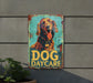 a dog day care sign on the side of a building