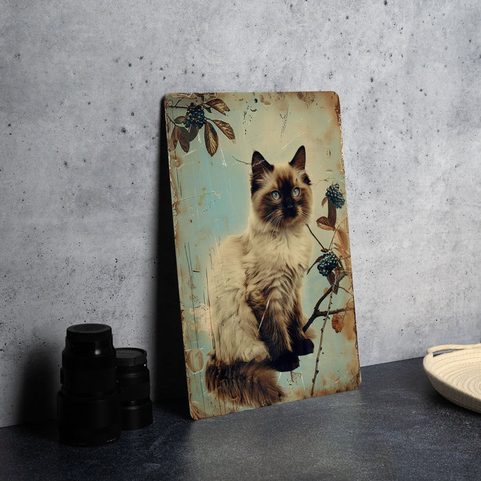 a picture of a cat sitting on a table