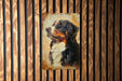 a picture of a dog on a wooden wall