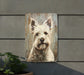 a painting of a white dog on a wall