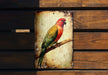 a colorful bird sitting on top of a wooden bench