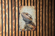 a picture of a lizard on a wooden wall